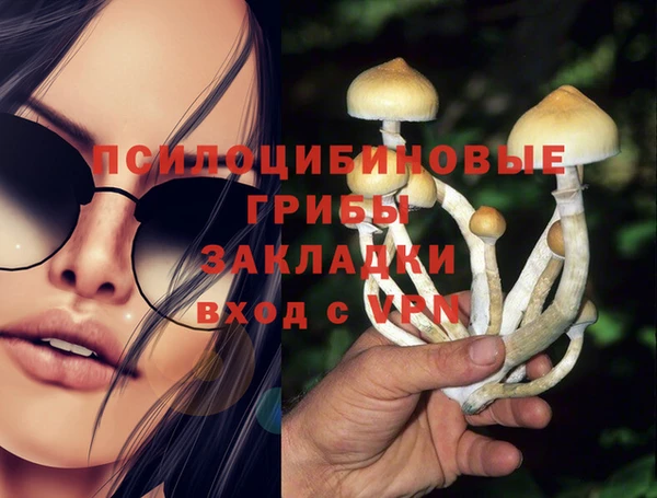 прущие крисы Горнозаводск