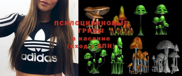 синтетический гашиш Гусев