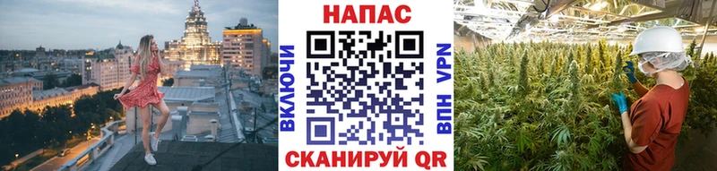 Каннабис планчик  Купить закладки  Котовск 